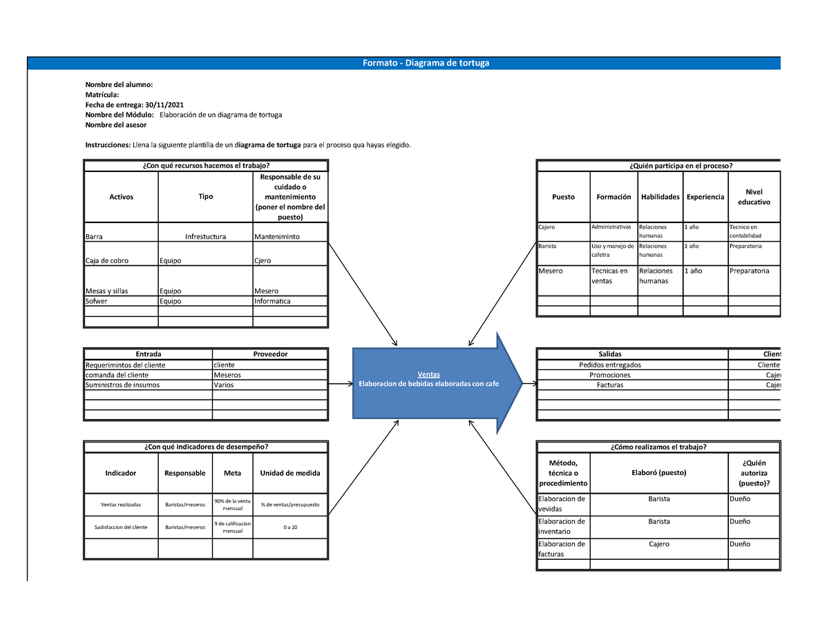 plantilla de diagrama de tortuga gratis