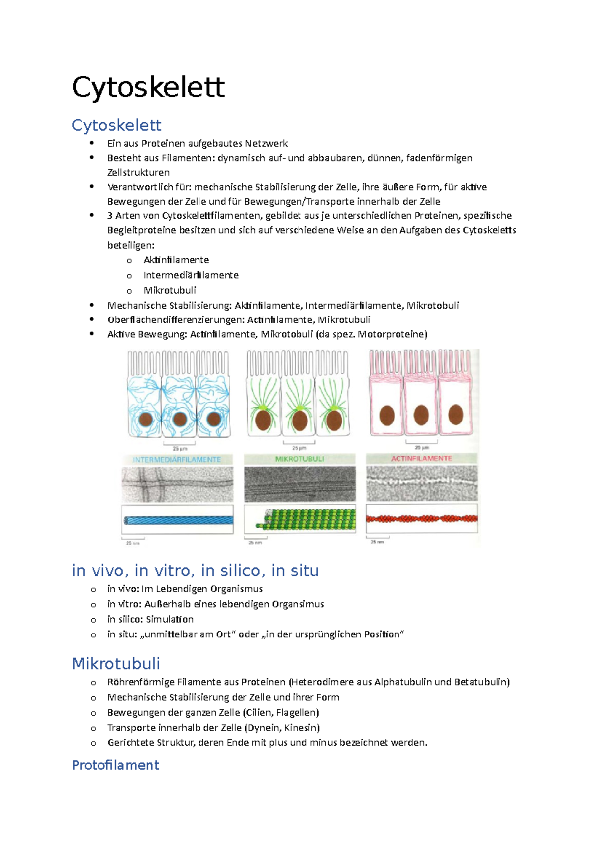 Vorlesung 4 5 Cytoskellet Studocu