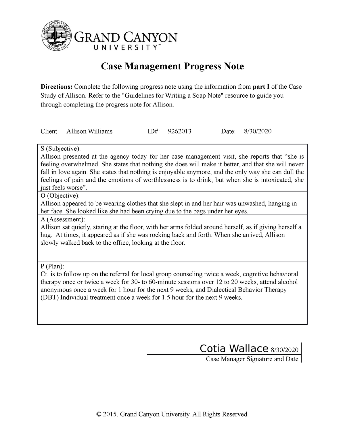 Case Management Note Template 5052