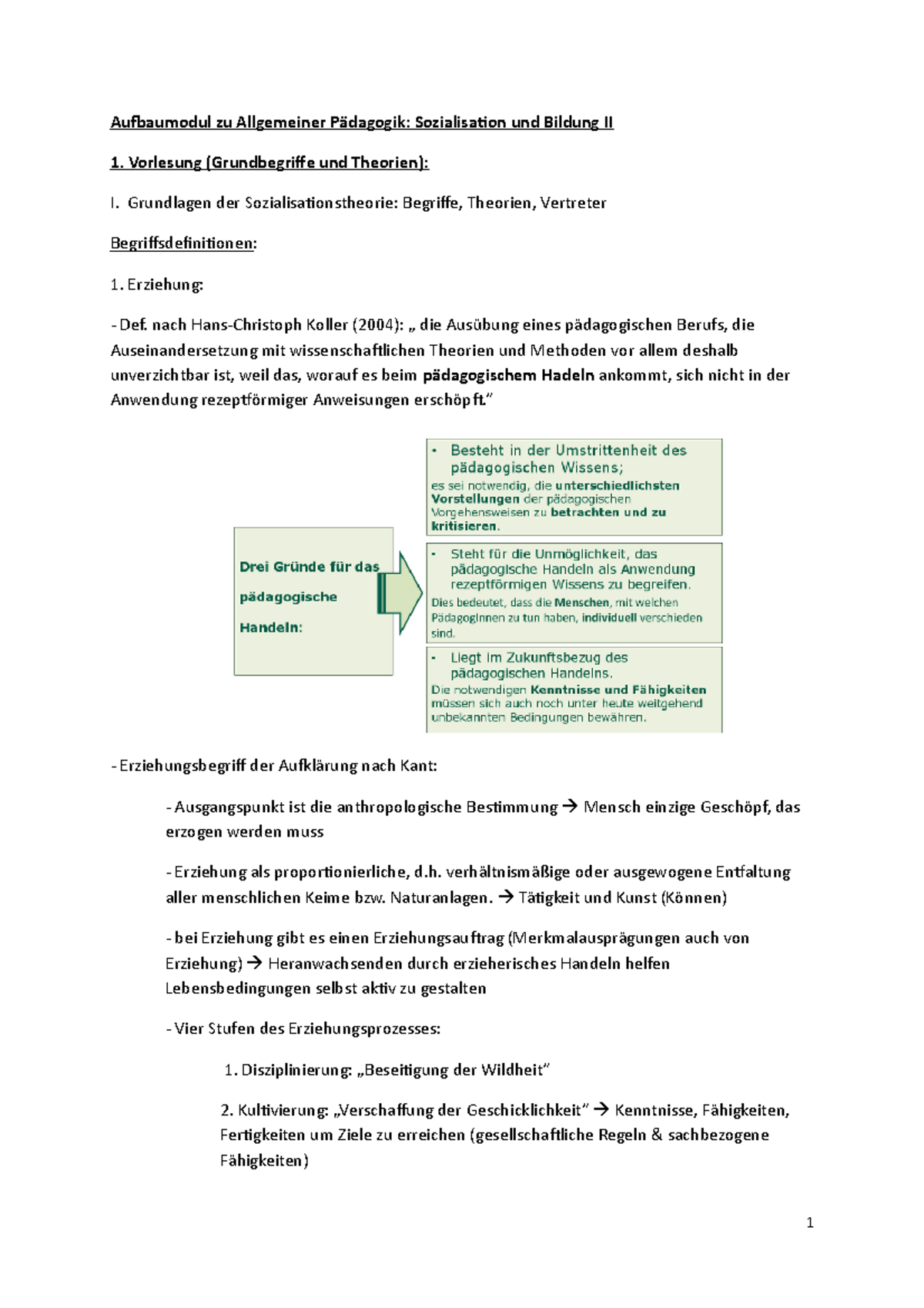 Sozialisation Und Bildung II - Vorlesung (Grundbegrife Und Theorien): I ...