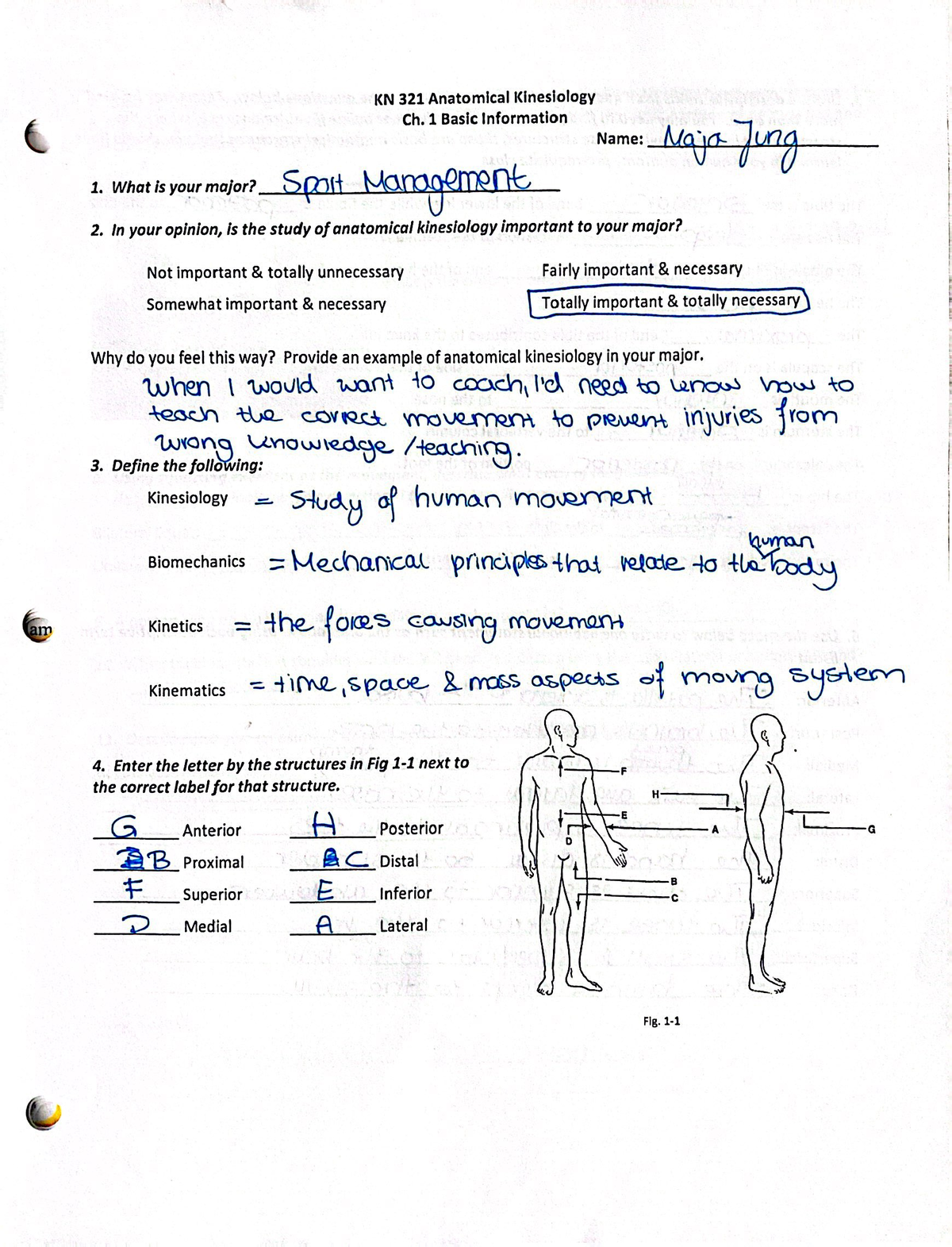 Exercise Physiology Study Guide Assign KN 326 Studocu   Thumb 1200 1571 