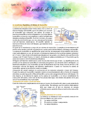 Fisiología Gusto Y Olfato Resumen Guyton Y Hall Ed 13° - Los Sentidos ...