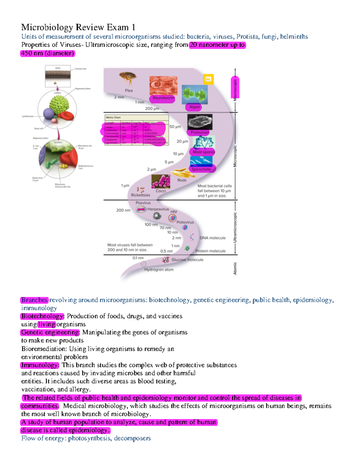 Review Exam 1 Microbiology Notes Chapters 1 7 Microbiology Review