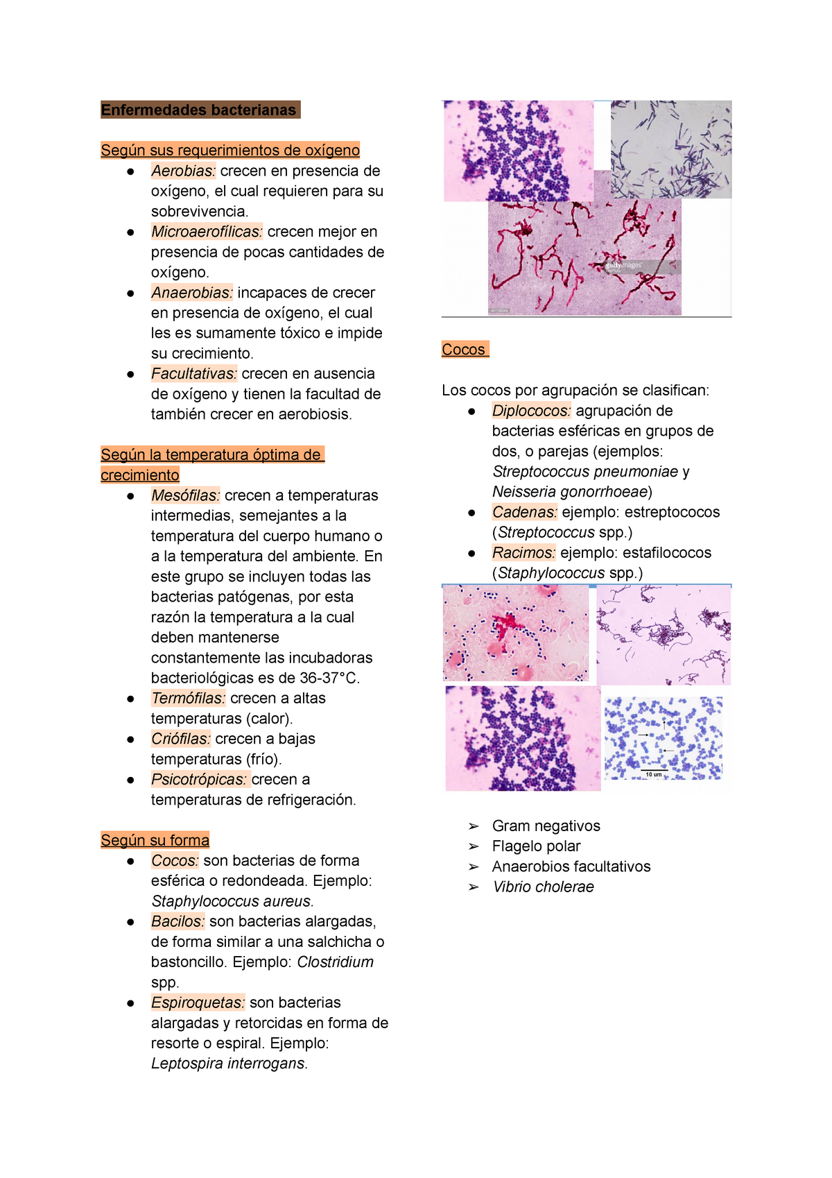 Enfermedades Bacterianas - Enfermedades Infecciosas - Universidad De La ...