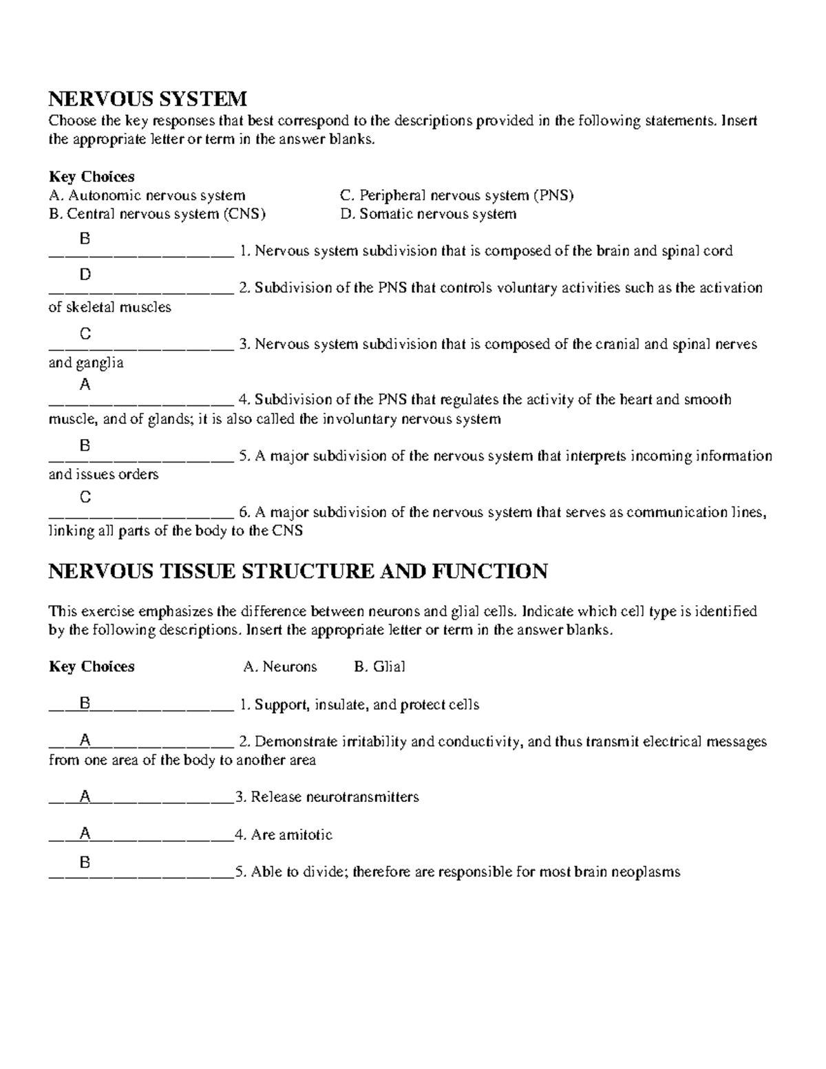 Nervous System Homework - NERVOUS SYSTEM Choose The Key Responses That ...