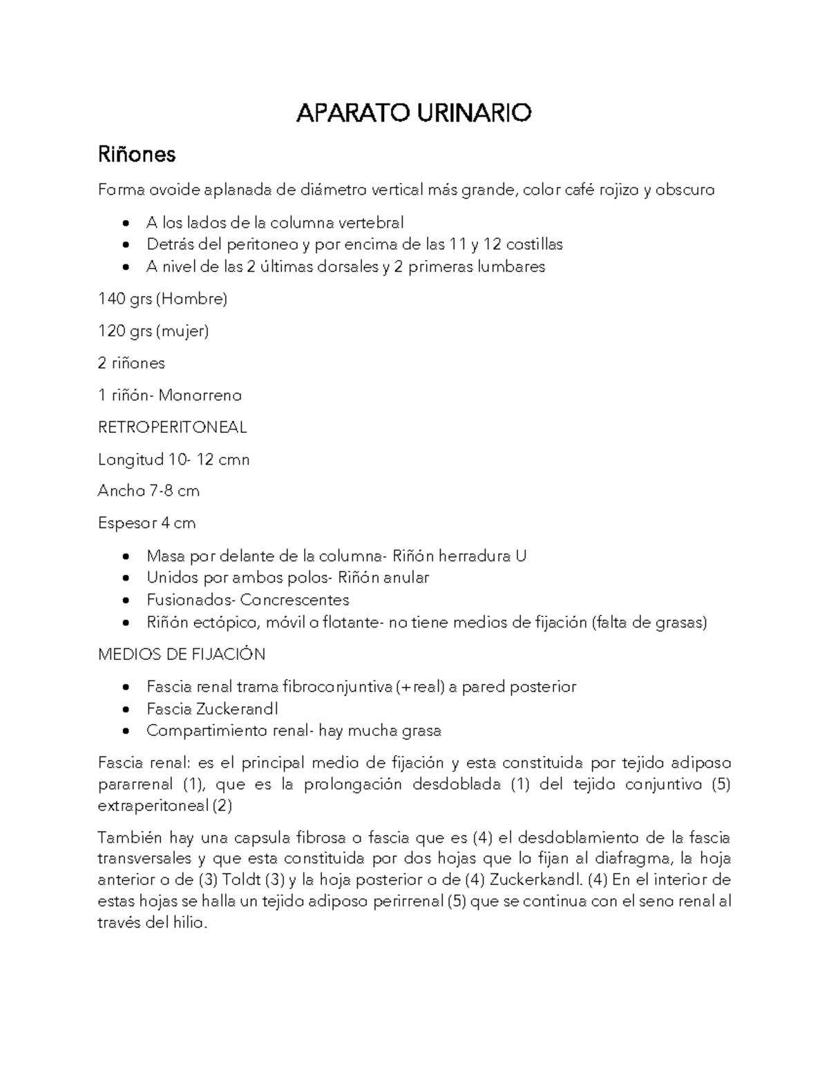 Aparato Urinario - RESUMEN - Netter's Anatomy - APARATO URINARIO ...