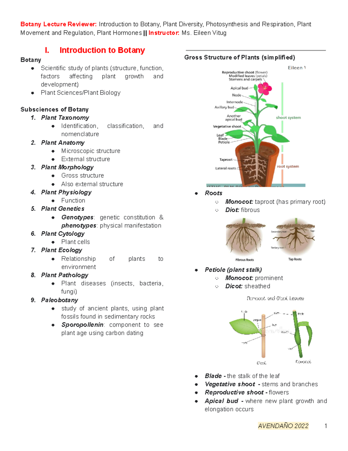 Botany Lecture Reviewer - Movement and Regulation, Plant Hormones ...