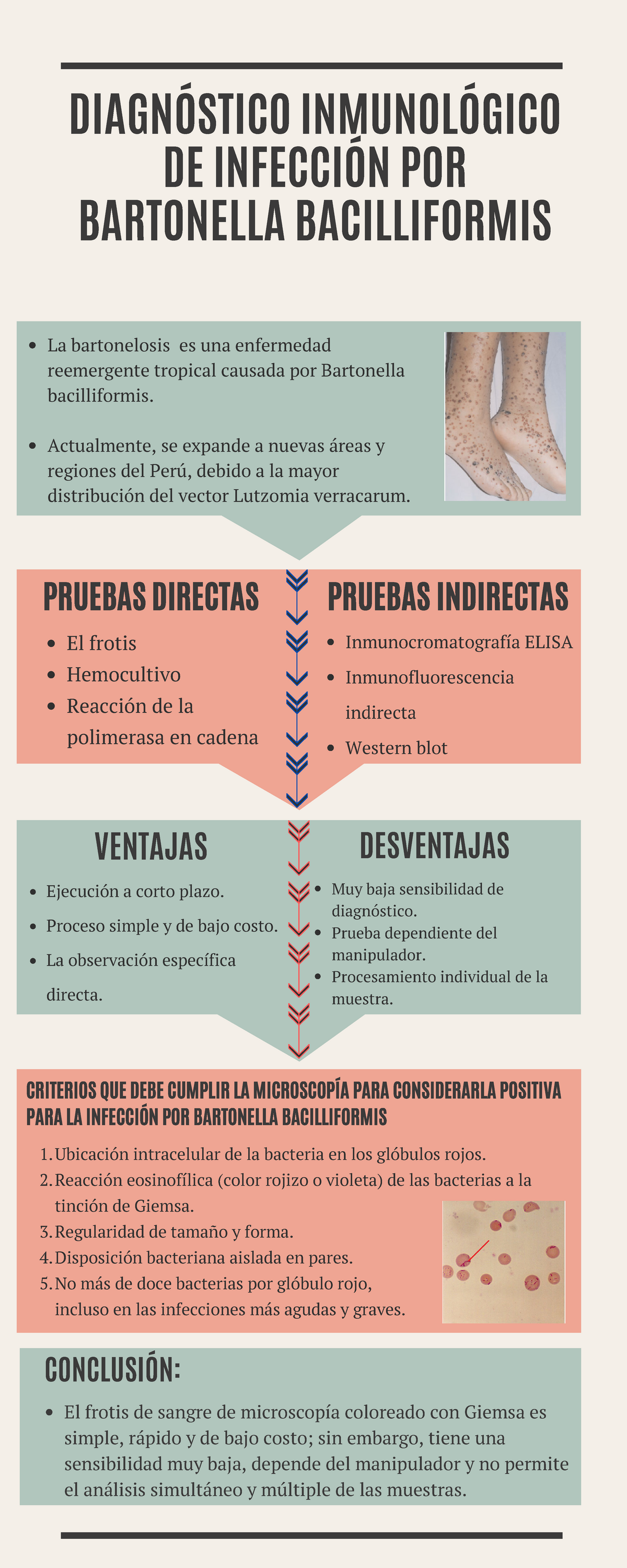 Diagnostico Inmunológico- Bartonella Bacilliformis - Microbiología ...