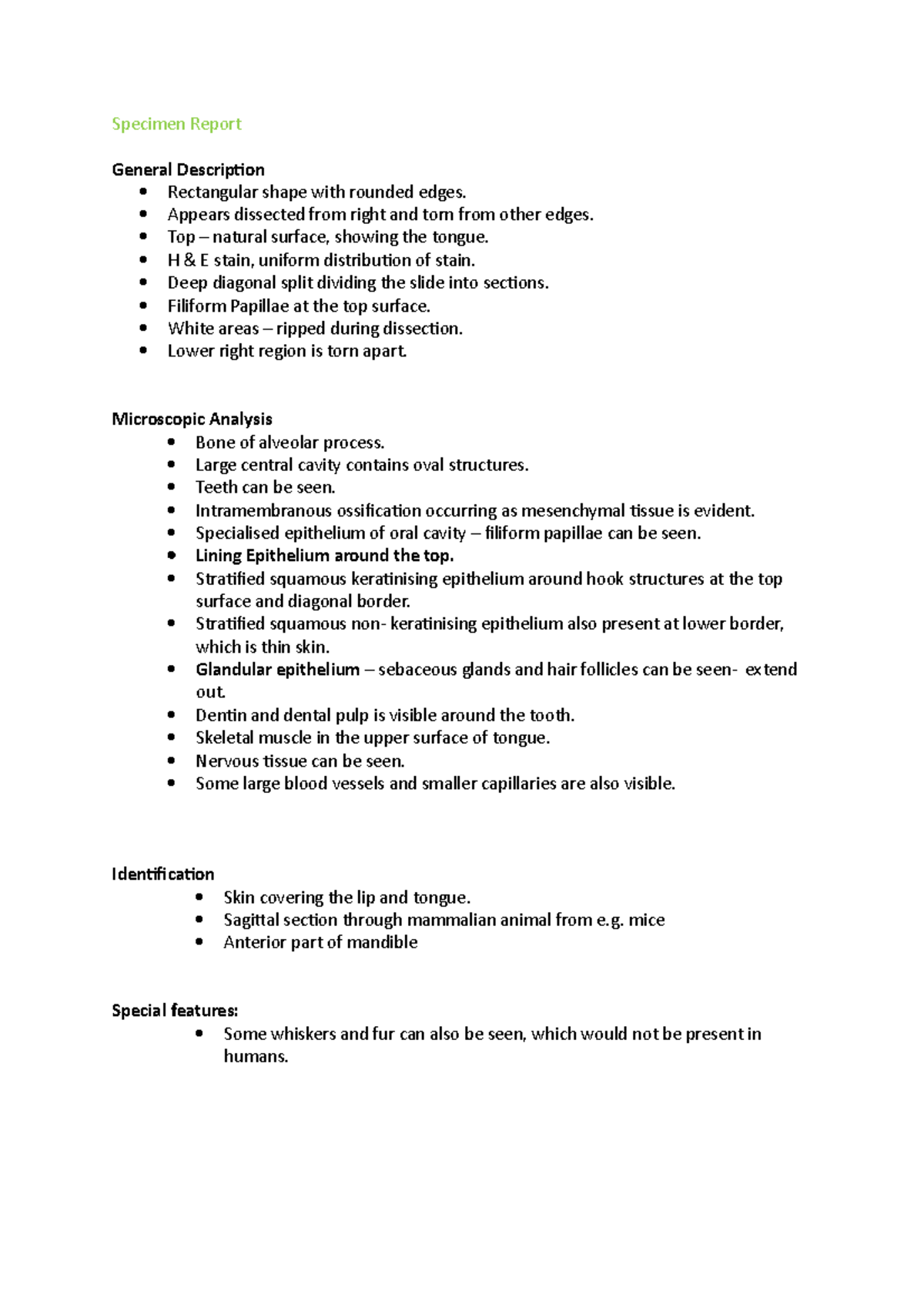Specimen Report Specimen Report General Description Rectangular shape