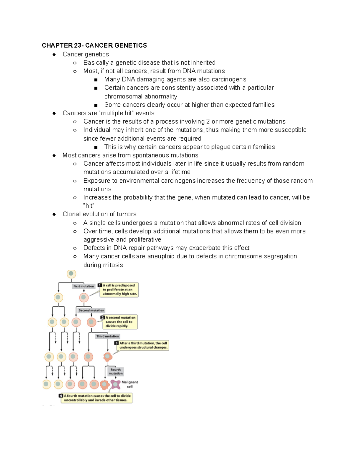 Genetics Chapter 23 Notes - CHAPTER 23- CANCER GENETICS Cancer genetics ...