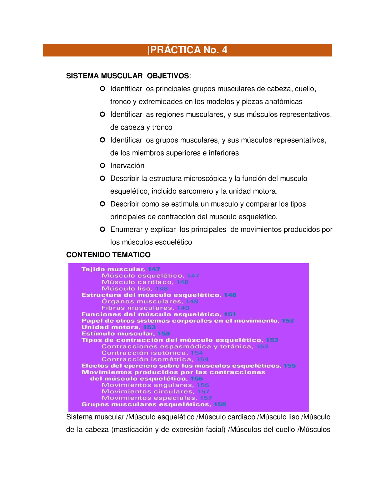 Práctica No 4 Estructura Y Sistemas Anatomicos - |PRÁCTICA No. 4 ...