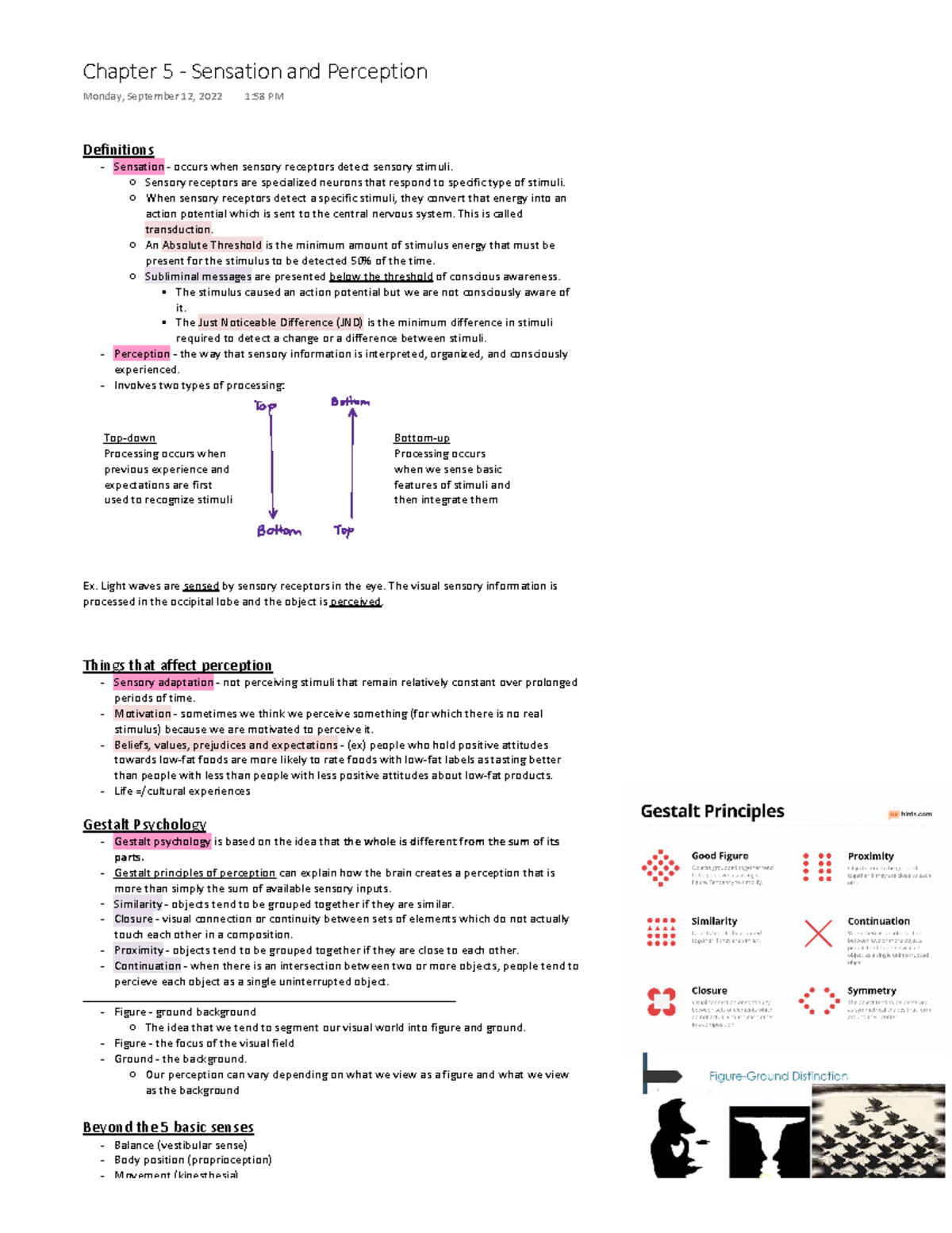 Chapter 5 - Sensation And Perception - Definitions Sensation - Occurs ...