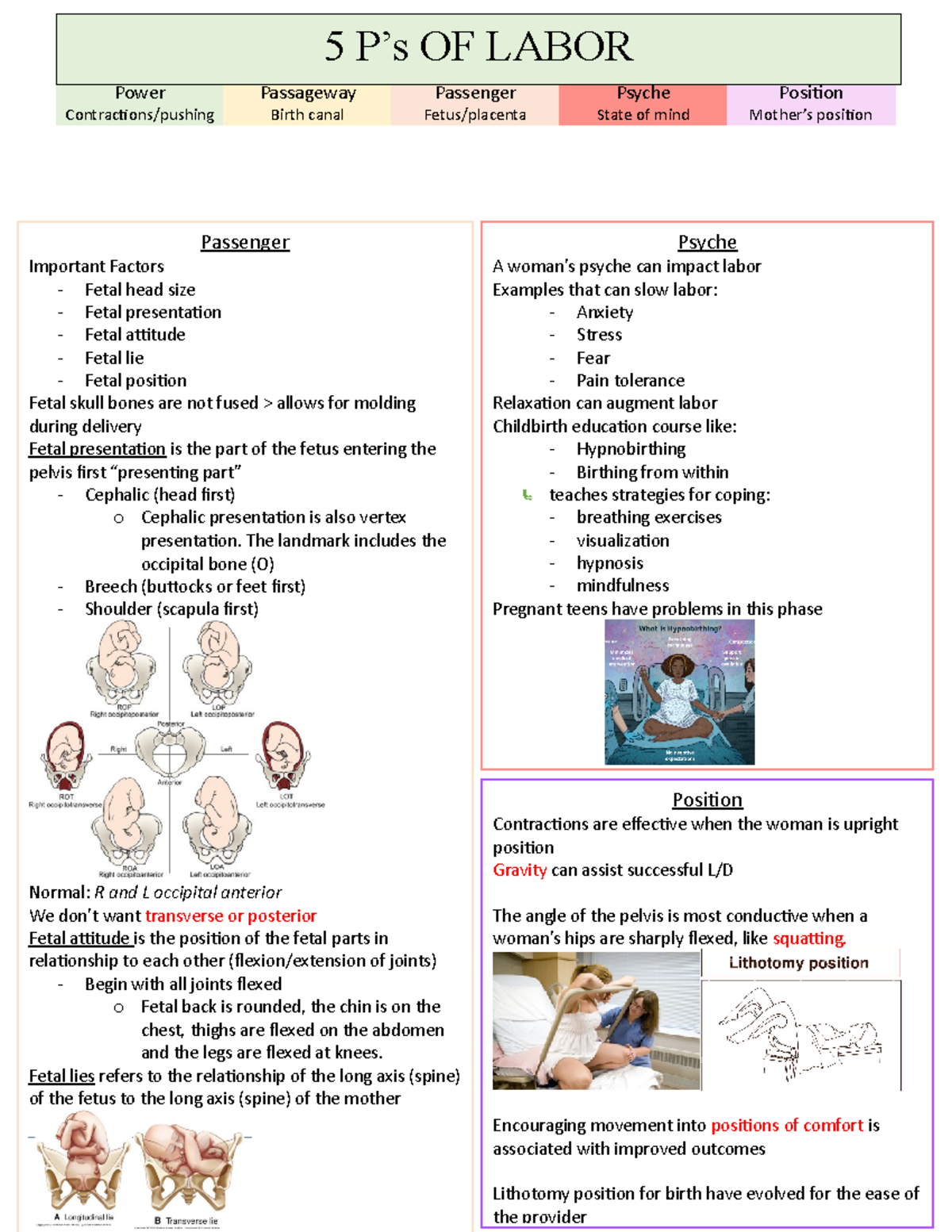 PPT MODULE INTRAPARTUM PROCESSES OF LABOR AND BIRTH 55 OFF