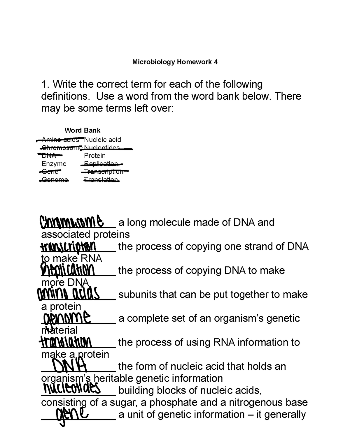 homework-4-microbiology-homework-4-1-write-the-correct-term-for-each