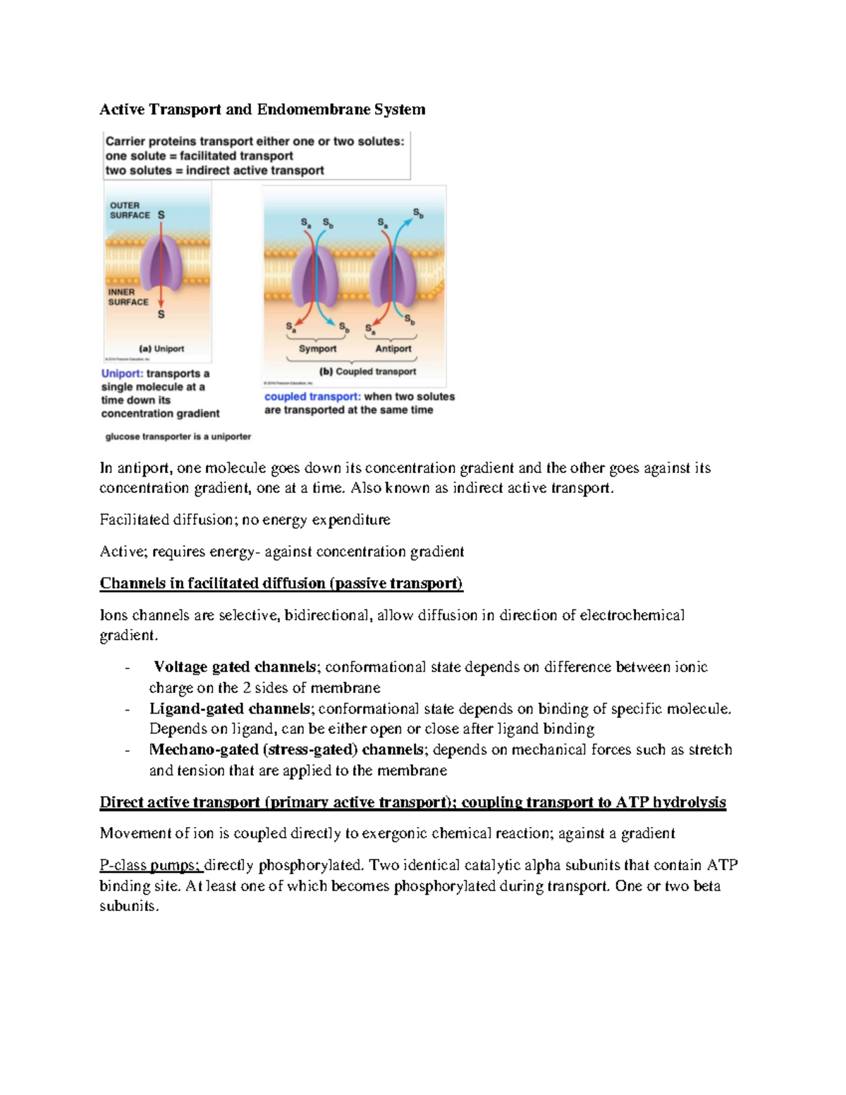 active-transport-and-endomembrane-system-also-known-as-indirect