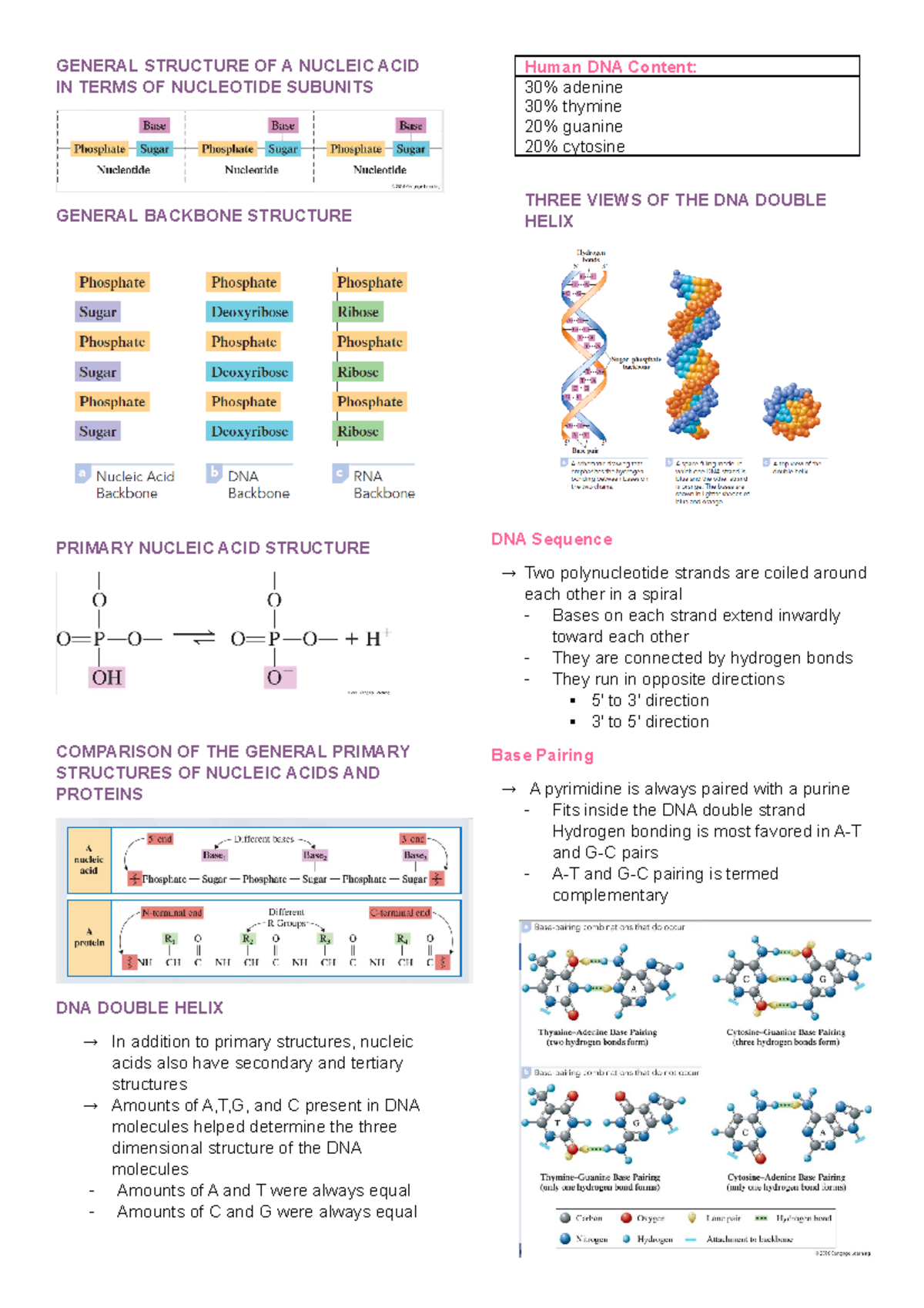 Biomls (NA) - Biochem Nucleic Acid - GENERAL STRUCTURE OF A NUCLEIC ...