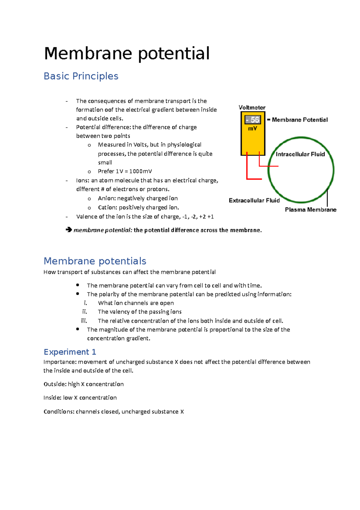 2 membrane potentials - just some notes :) - Membrane potential Basic ...