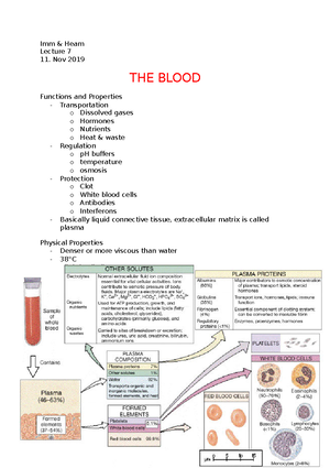 6 - red blood cells - lecture notes - Red Blood cells Red blood cells ...