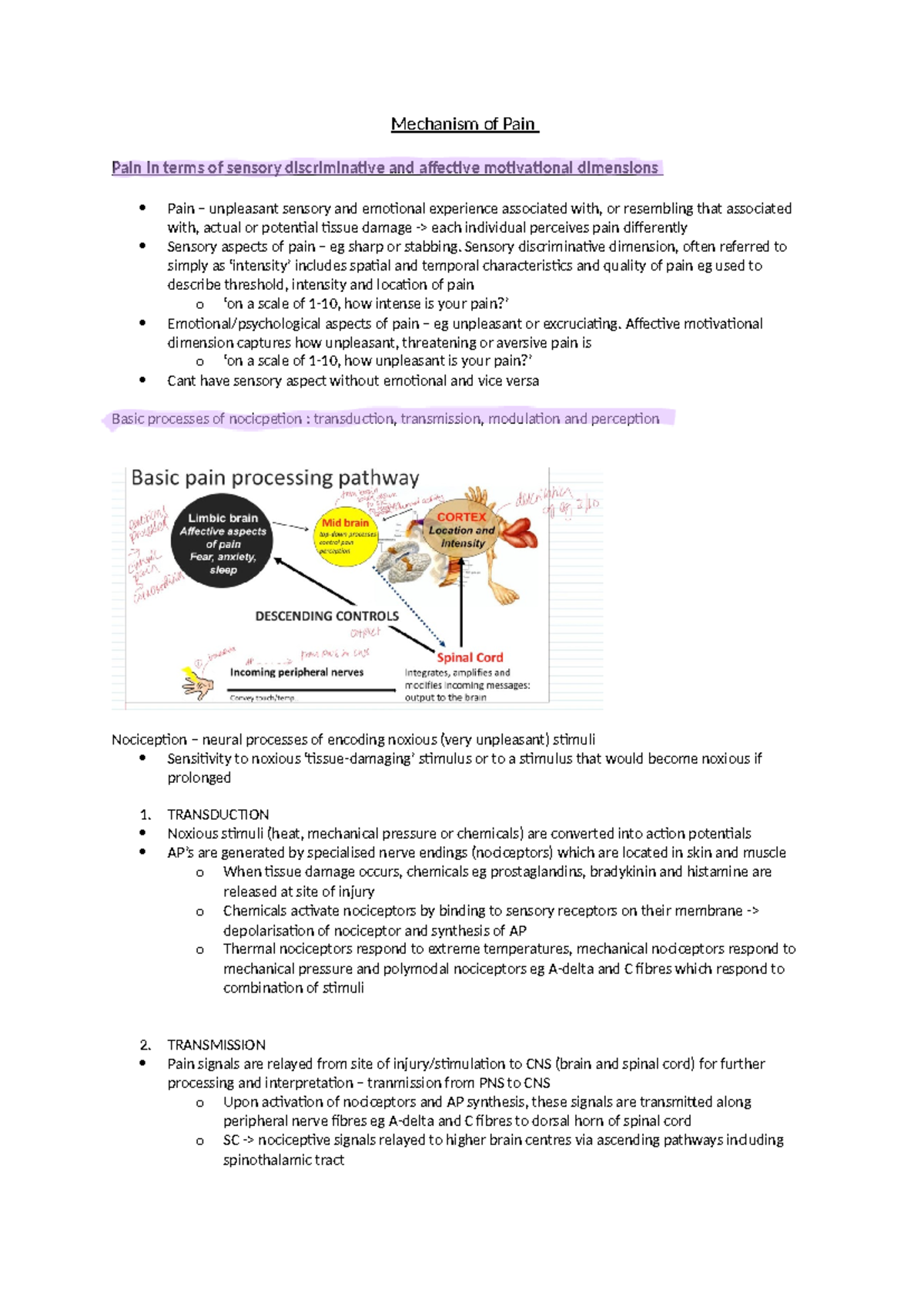 Mechanism of pain - NOTES - Mechanism of Pain Pain in terms of sensory ...