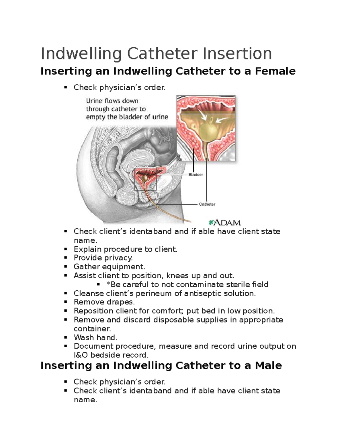 Indwelling Catheter Insertion Indwelling Catheter Insertion Inserting 