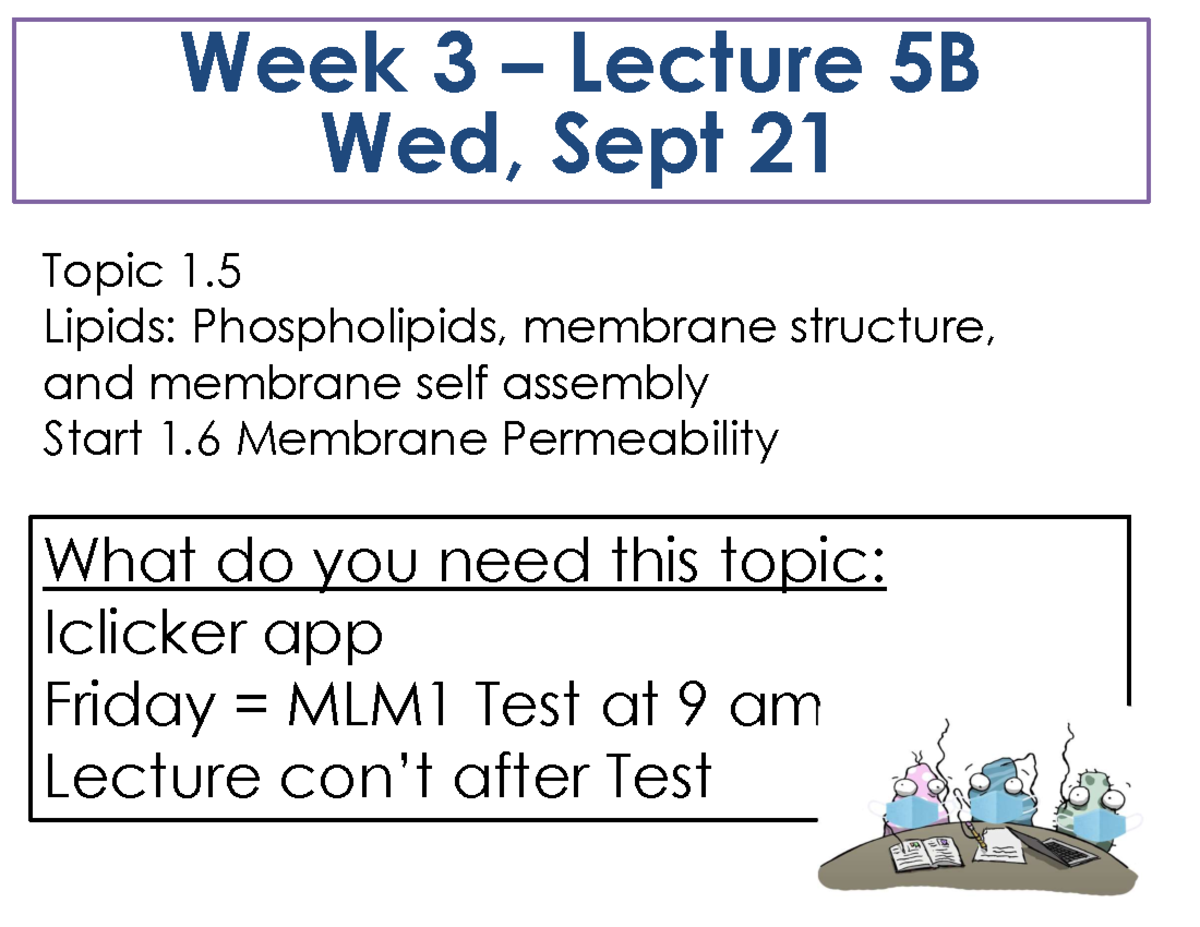 L5B Phospholipids Sept21 Preclass - Week 3 – Lecture 5B Wed, Sept 21 ...