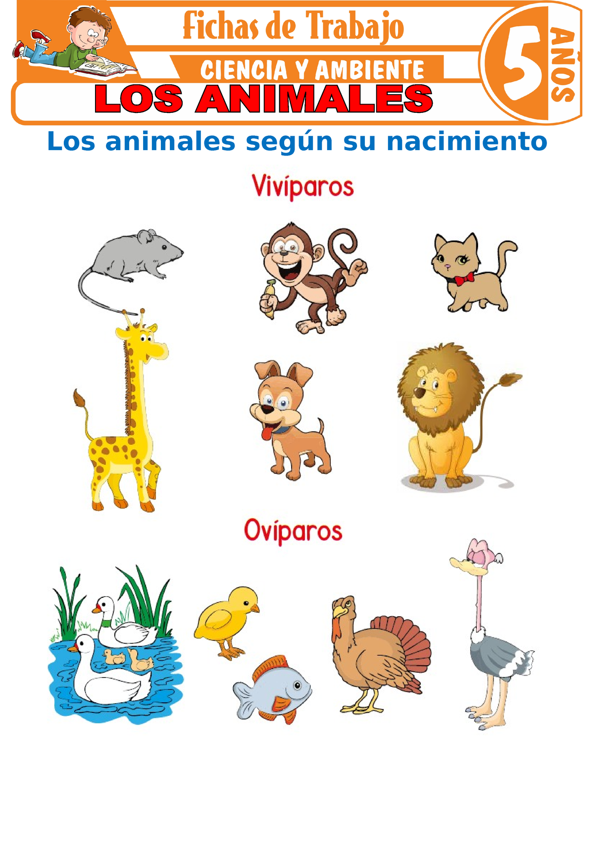 Los animales para Ninos de 5 anos - Los animales según su nacimiento  Hábitat de los animales Une los - Studocu