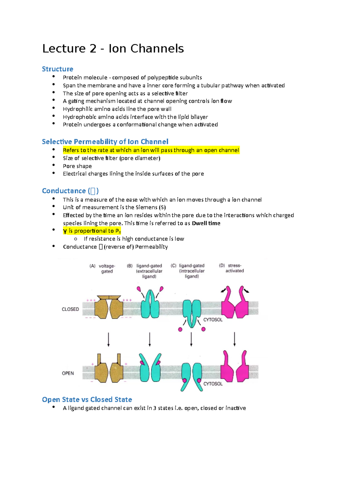 Physiological systems Lecture 2 ion channels - Lecture 2 - Ion Channels ...