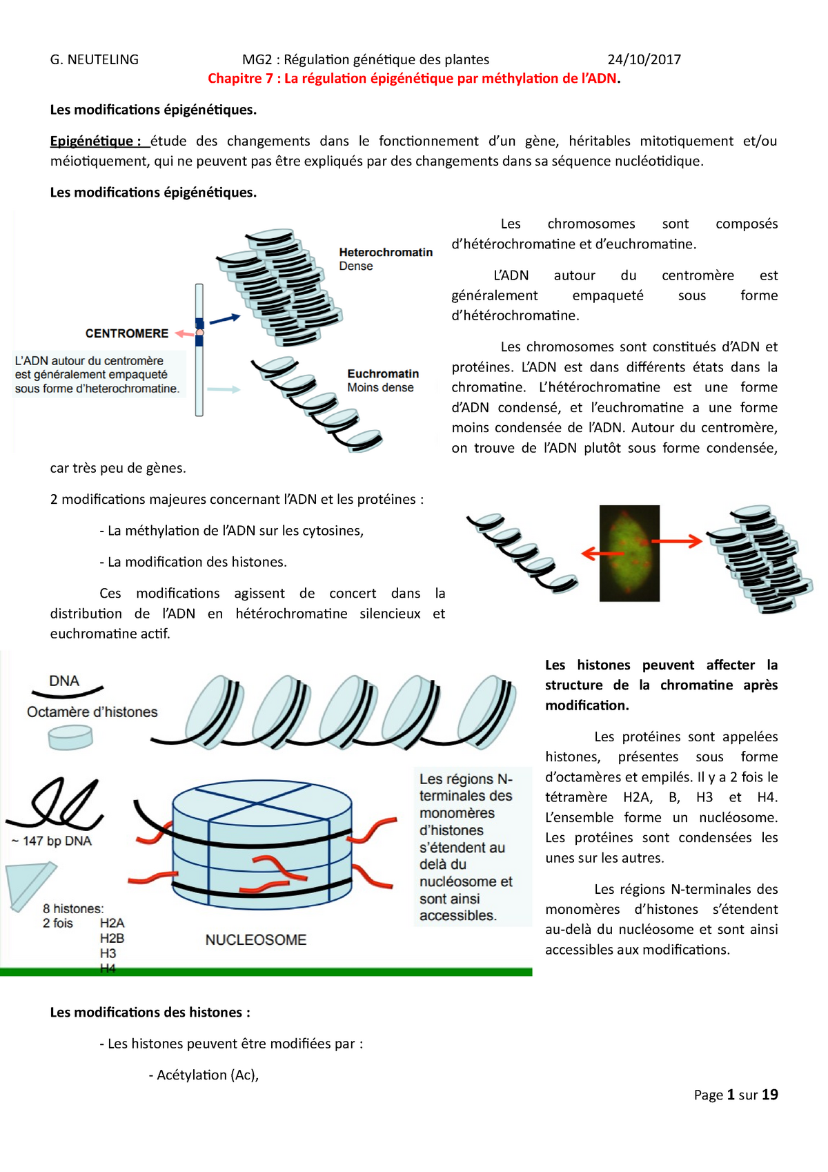 Modification des histones et épigénétique - Rôle de la chromatine dans la  transcription I. Structure - Studocu