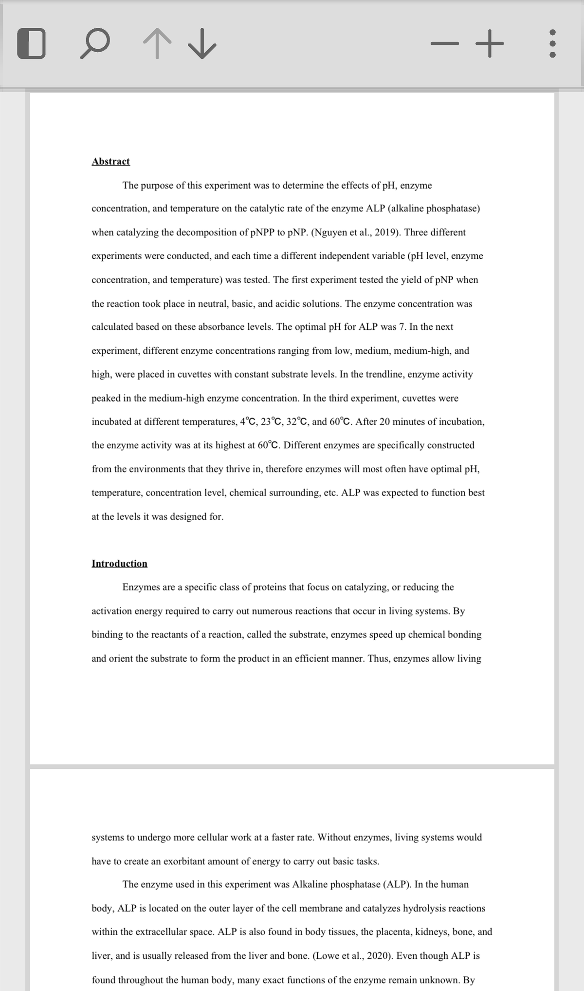 screenshot-2022-10-12-at-2-01-03-pm-enzymes-lab-report-by-alia-yiskis