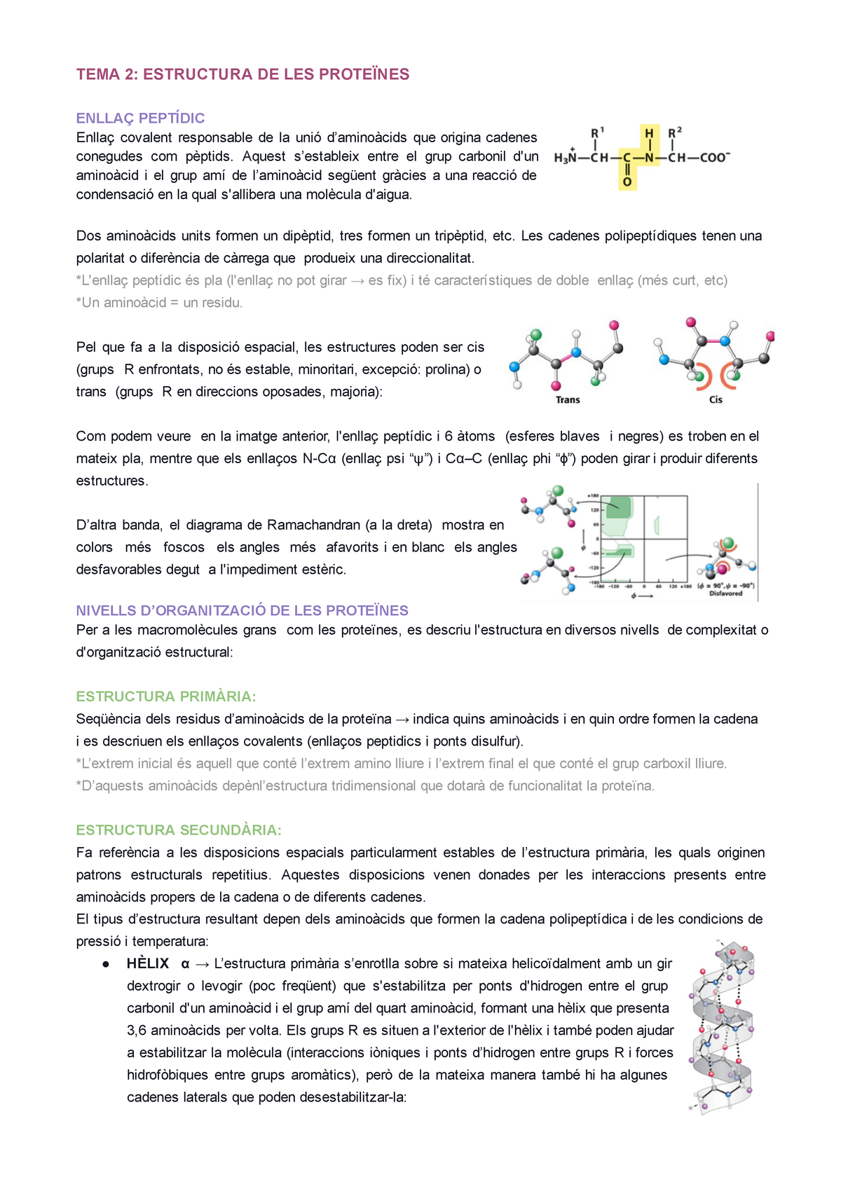 Tema 2 Estructura De Les Proteines Studocu