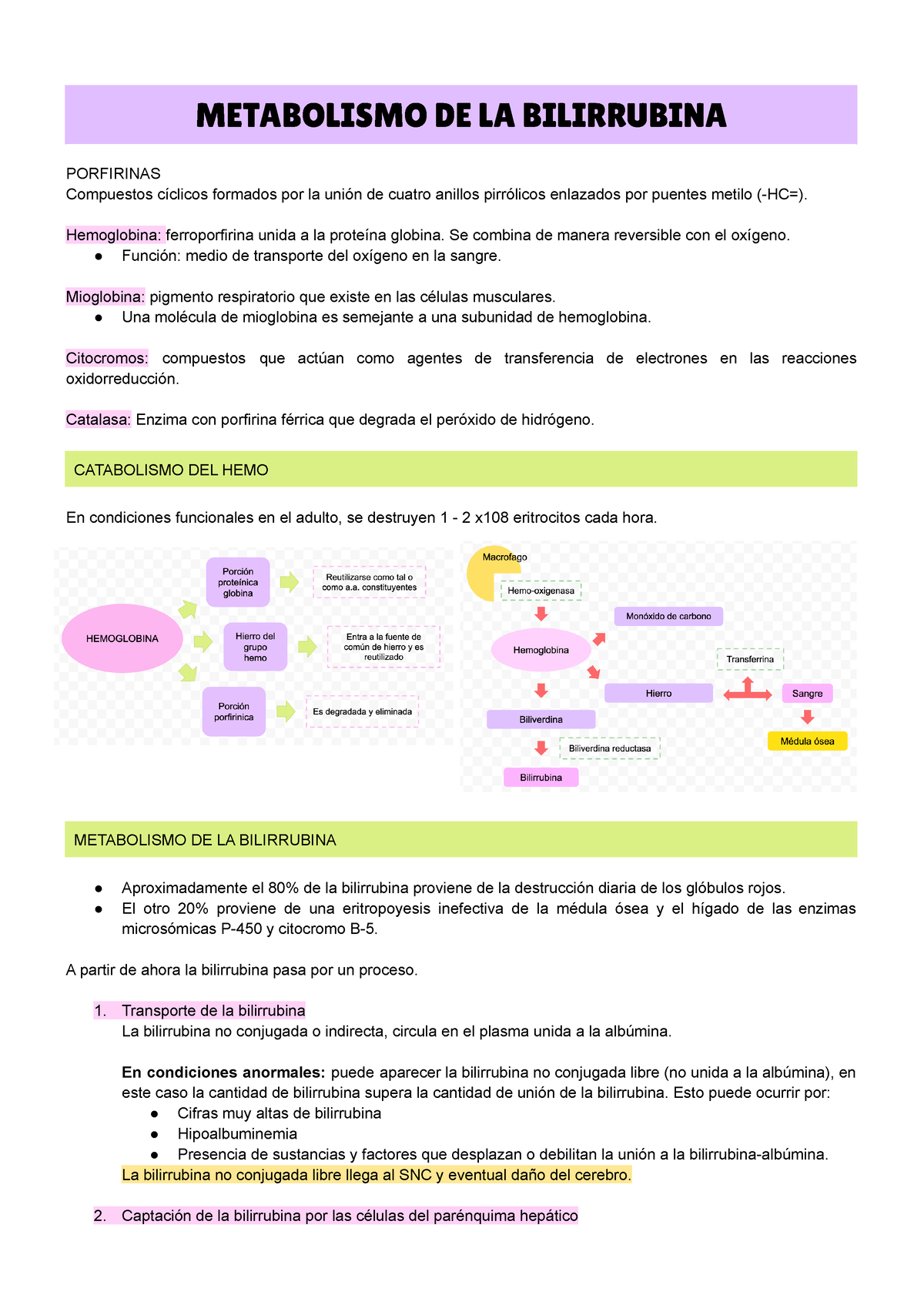 Metabolismo DE LA Bilirrubina Resumen - METABOLISMO DE LA BILIRRUBINA ...