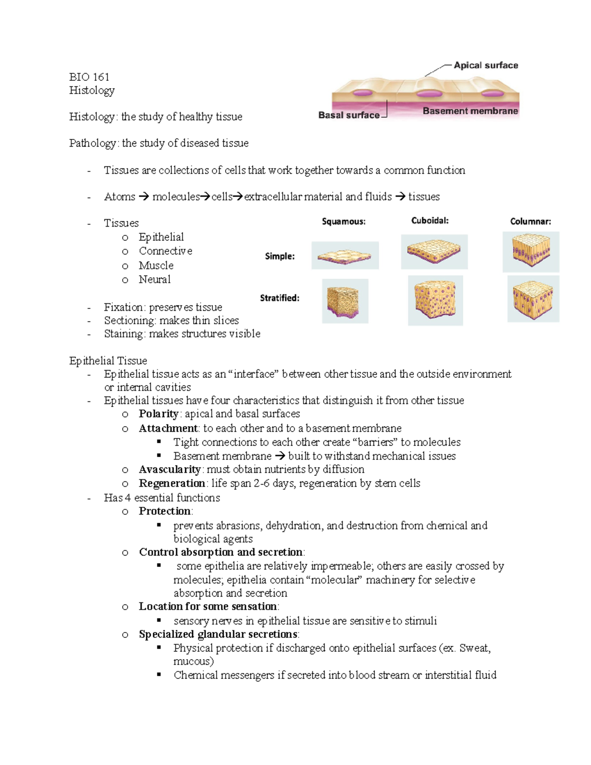 BIO 161 histology - BIO 161 Histology Histology: the study of healthy ...