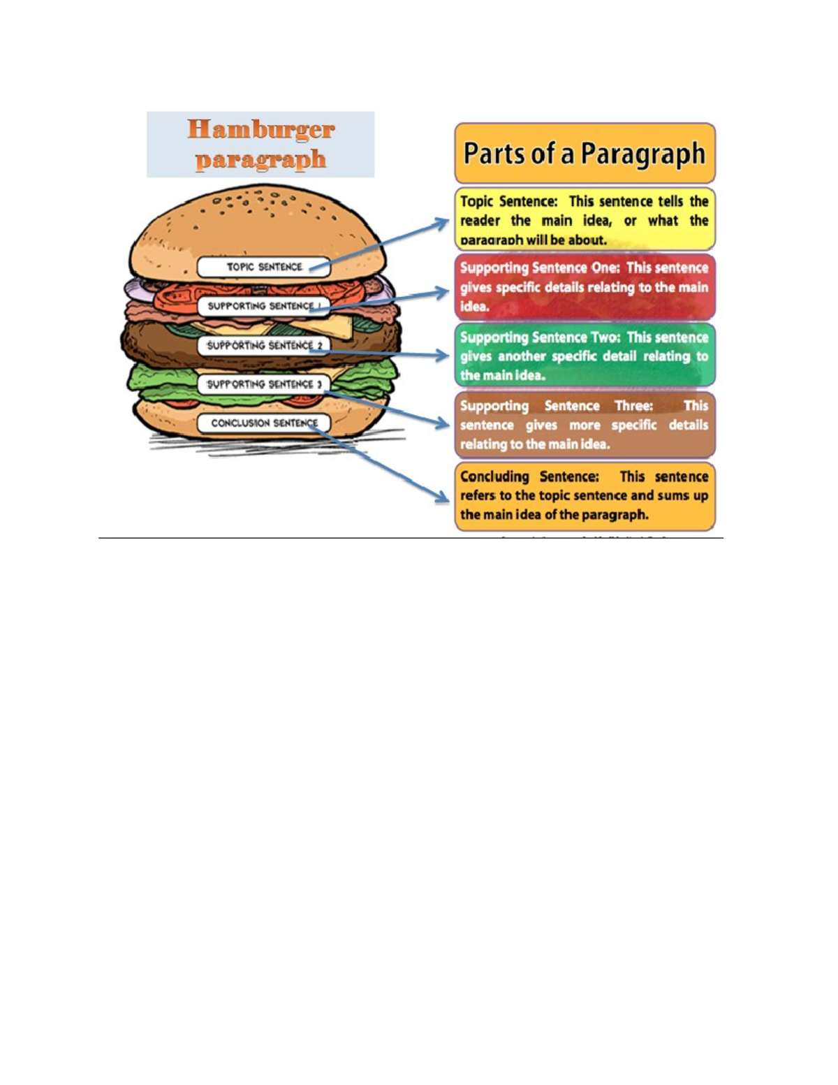 Parts of a paragraph burger - The four elements essential to good ...