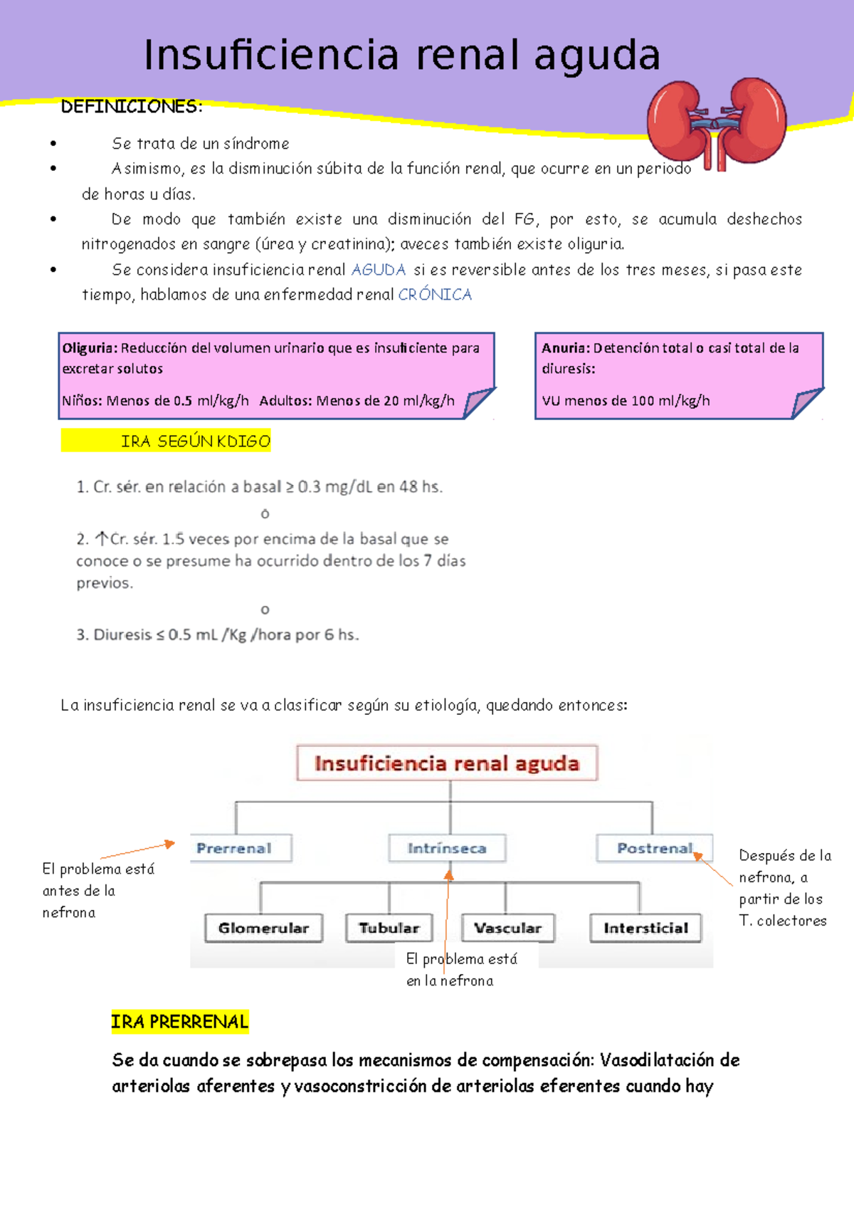 Insuficiencia renal aguda - Insuficiencia renal aguda DEFINICIONES: Se ...