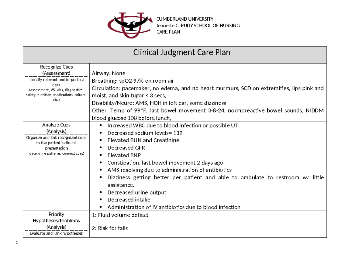 Care plan 310 - care plan example - Jeanette C. RUDY SCHOOL OF NURSING ...