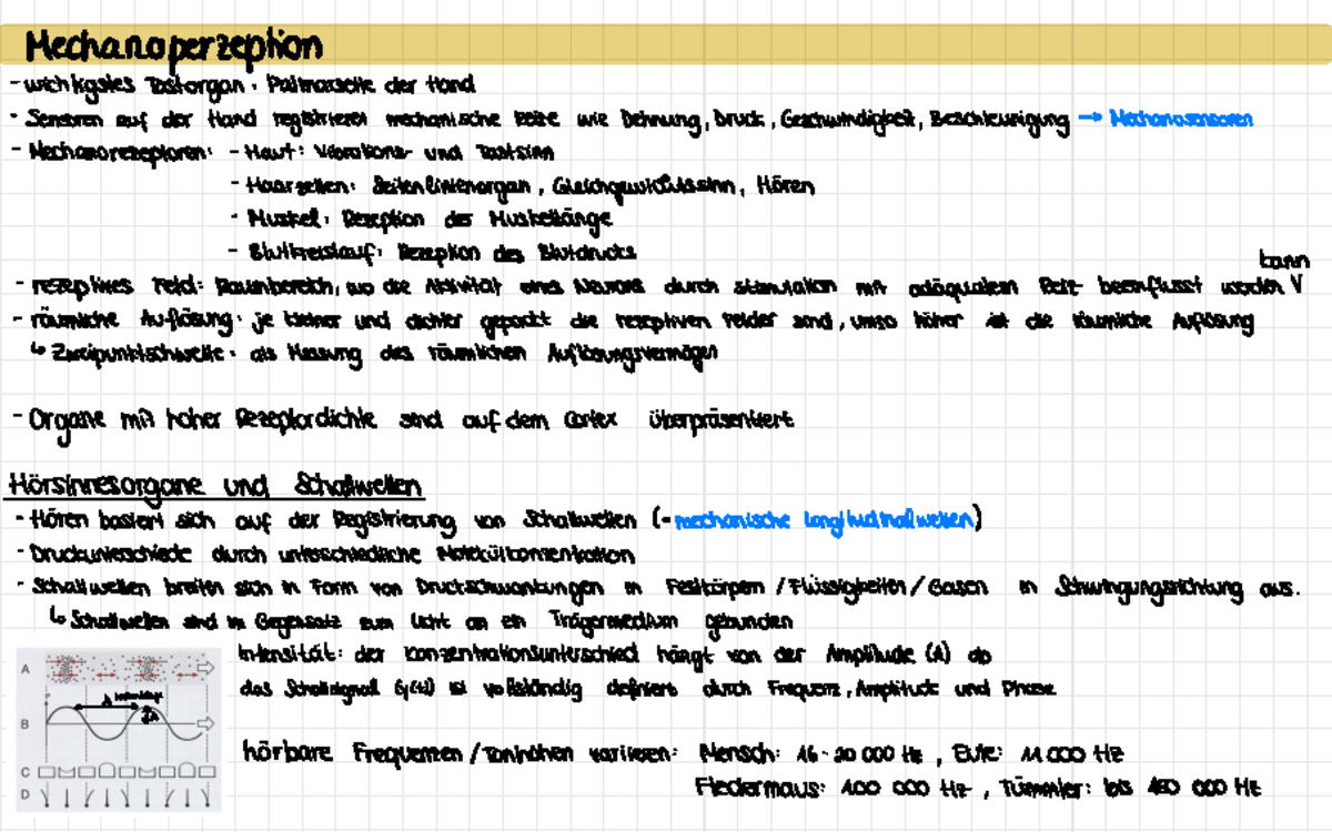 Physio Zusammenfassung 4 - Mechanoperzeption wichtigstes Ta s t o rg a ...