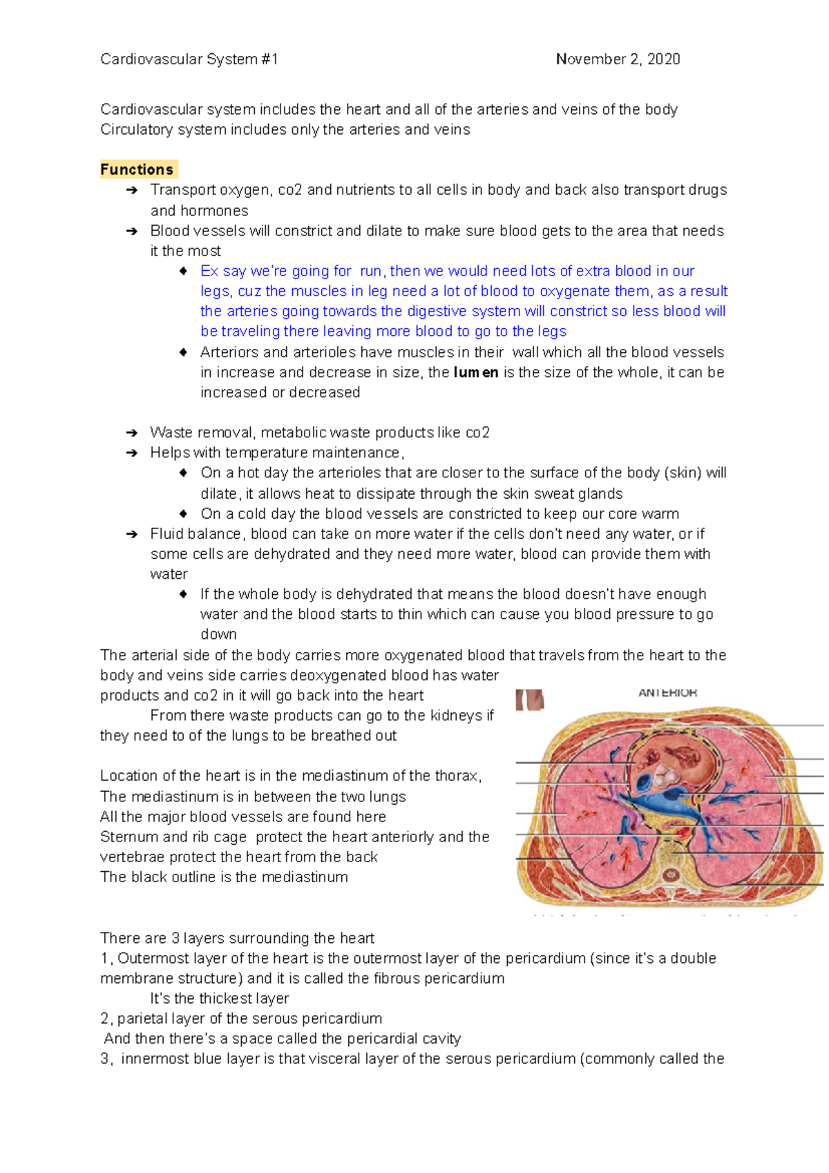 Cardiovascular System Lecture 1 - Cardiovascular System #1 November 2 ...