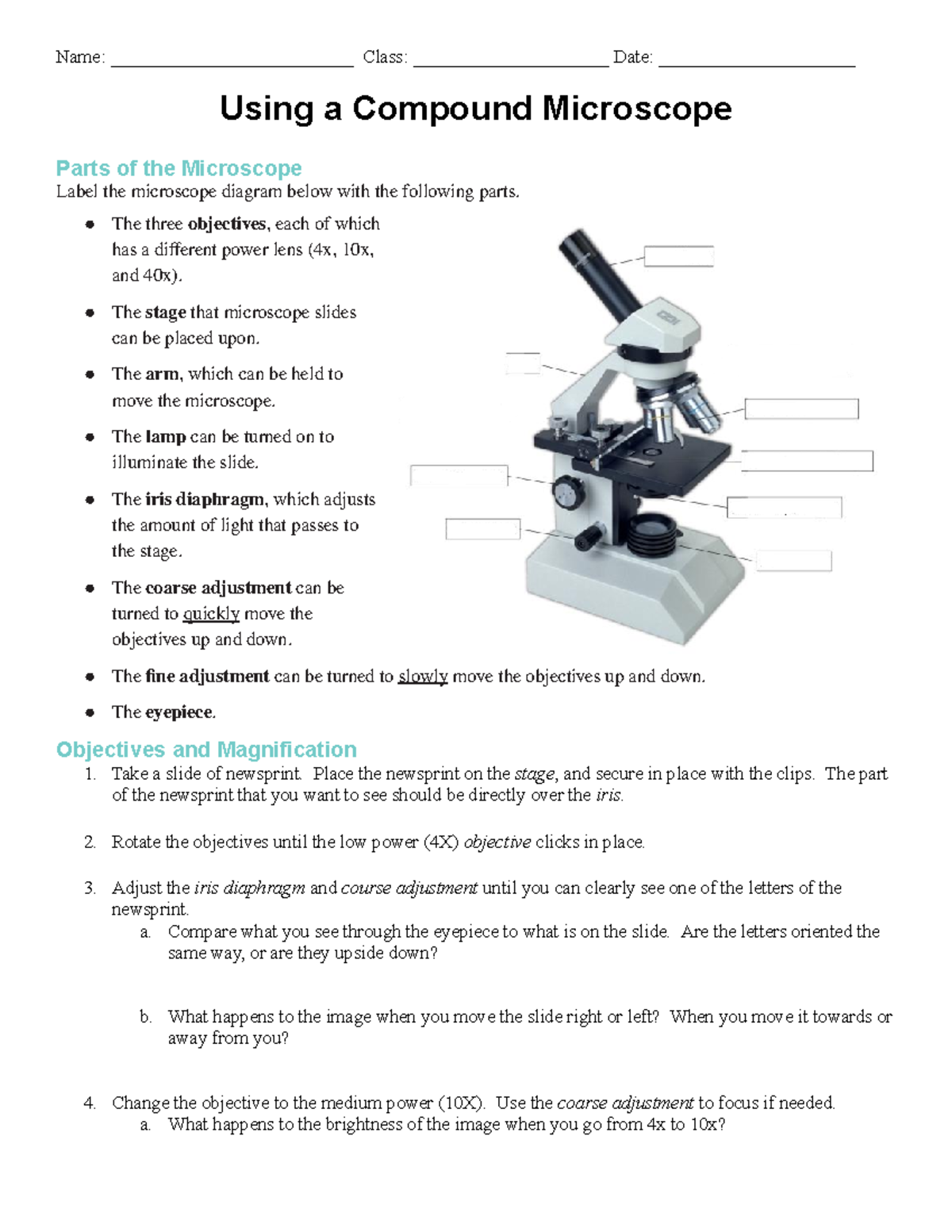 Using A Compound Microscope Lab Name Class 