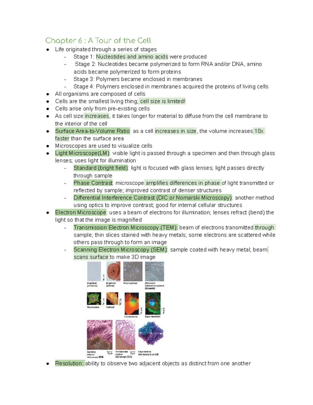 BIO 1010 Exam 2 Study Guide - Chapter 6 : A Tour Of The Cell Life ...