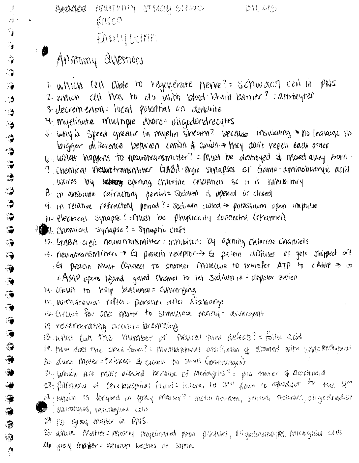 Study Guide for anatomy BSC 215 Alabama Studocu