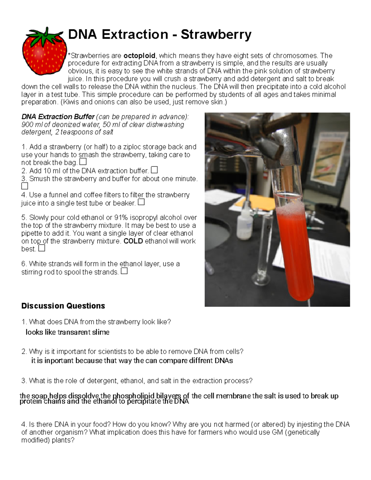 Chris Villalobos - Strawberry DNA Extraction Lab - DNA Extraction ...