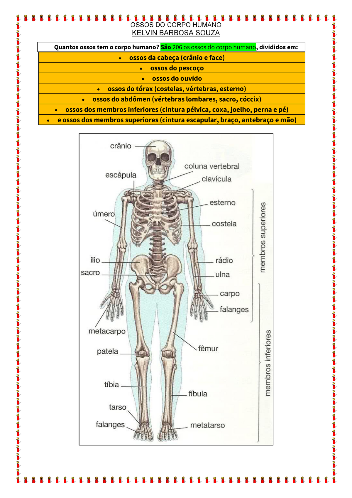 Kelvin - Ossos Do Corpo Humano - ####### KELVIN BARBOSA SOUZA Quantos ...