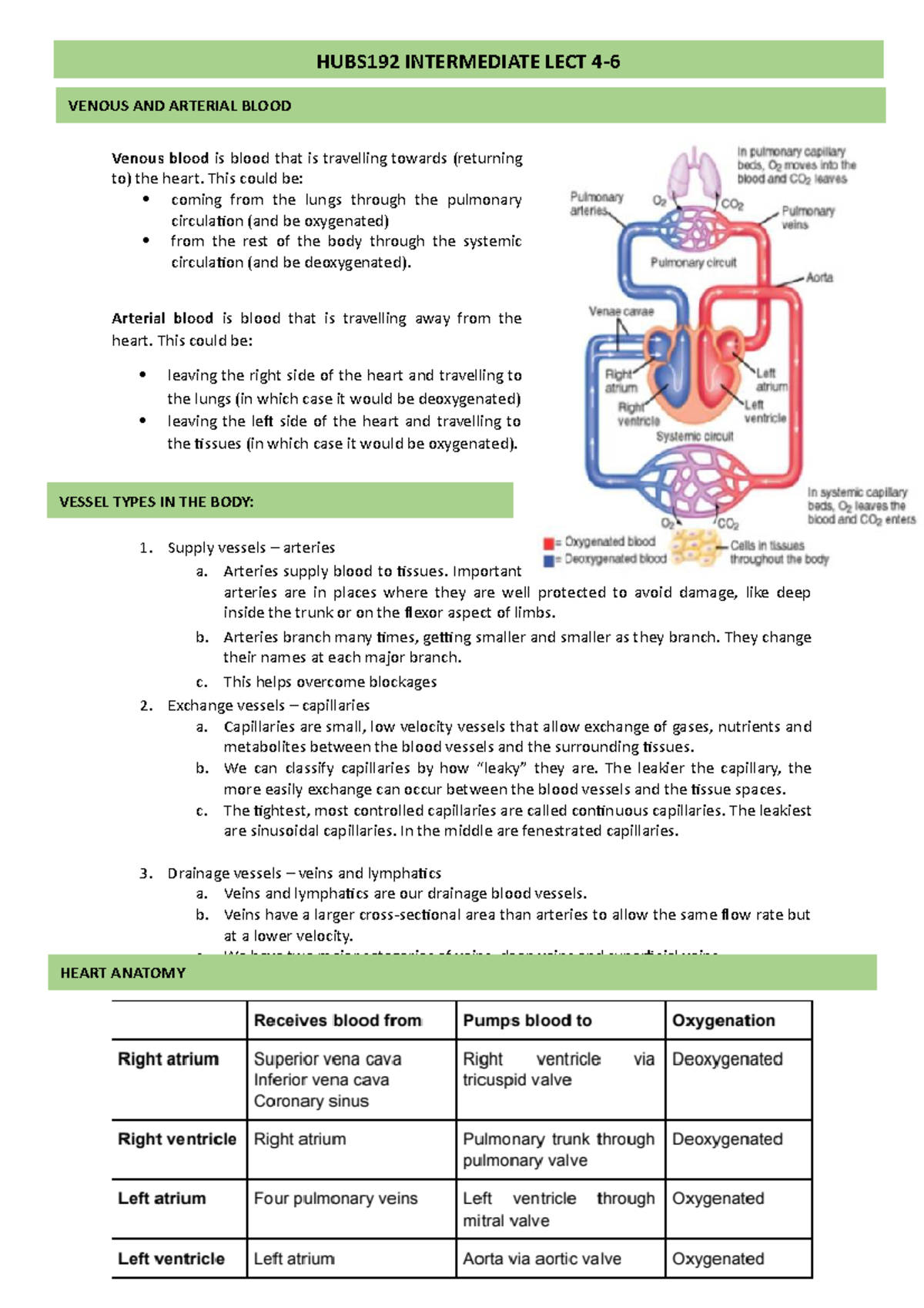 192 intermediate lect 4-6 - Human Body Systems 1 - University of Otago ...