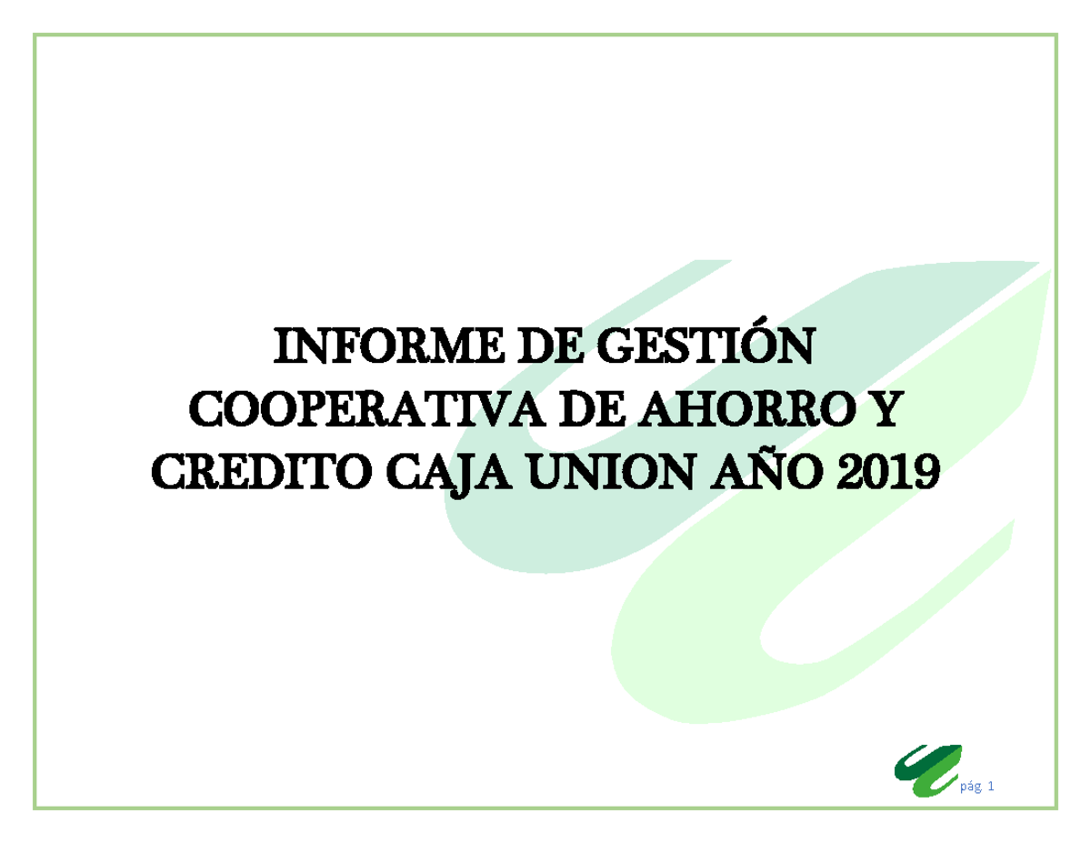 1 - E3E - INFORME DE GESTI”N COOPERATIVA DE AHORRO Y CREDITO CAJA UNION ...