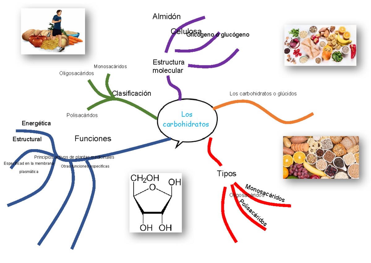 Carbohidratos - cyt - Tecnología del concreto - Los Energética ...