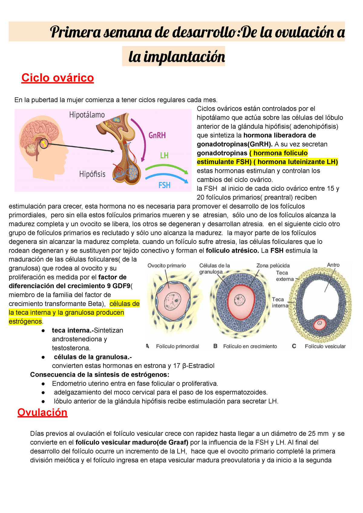 Primera Semana De Desarrollo 1 Primer Seman D Desarrolld L Ovulació L Implantació Ciclo 3495