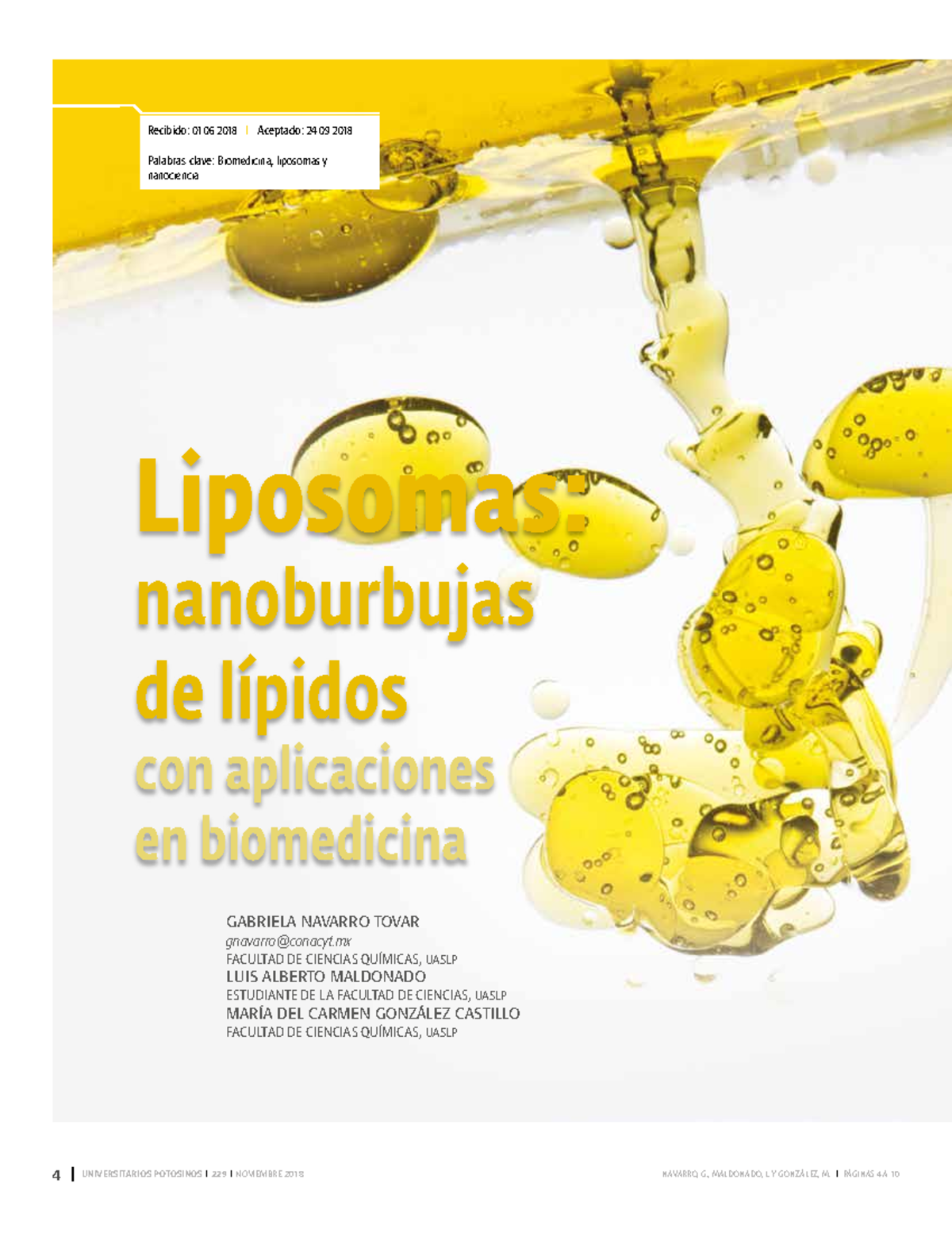 229-1 - Liposomas: Nanoburbujas De Lípidos Con Aplicaciones En ...