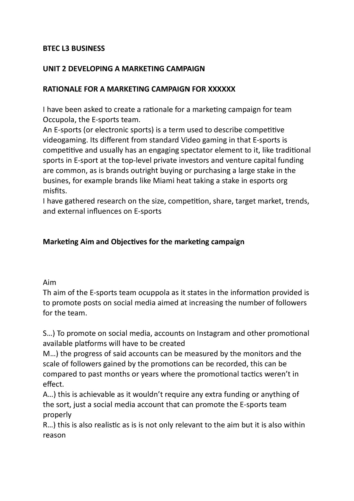 Template For Rationale For Marketing Campaign 1 BTEC L3 BUSINESS 