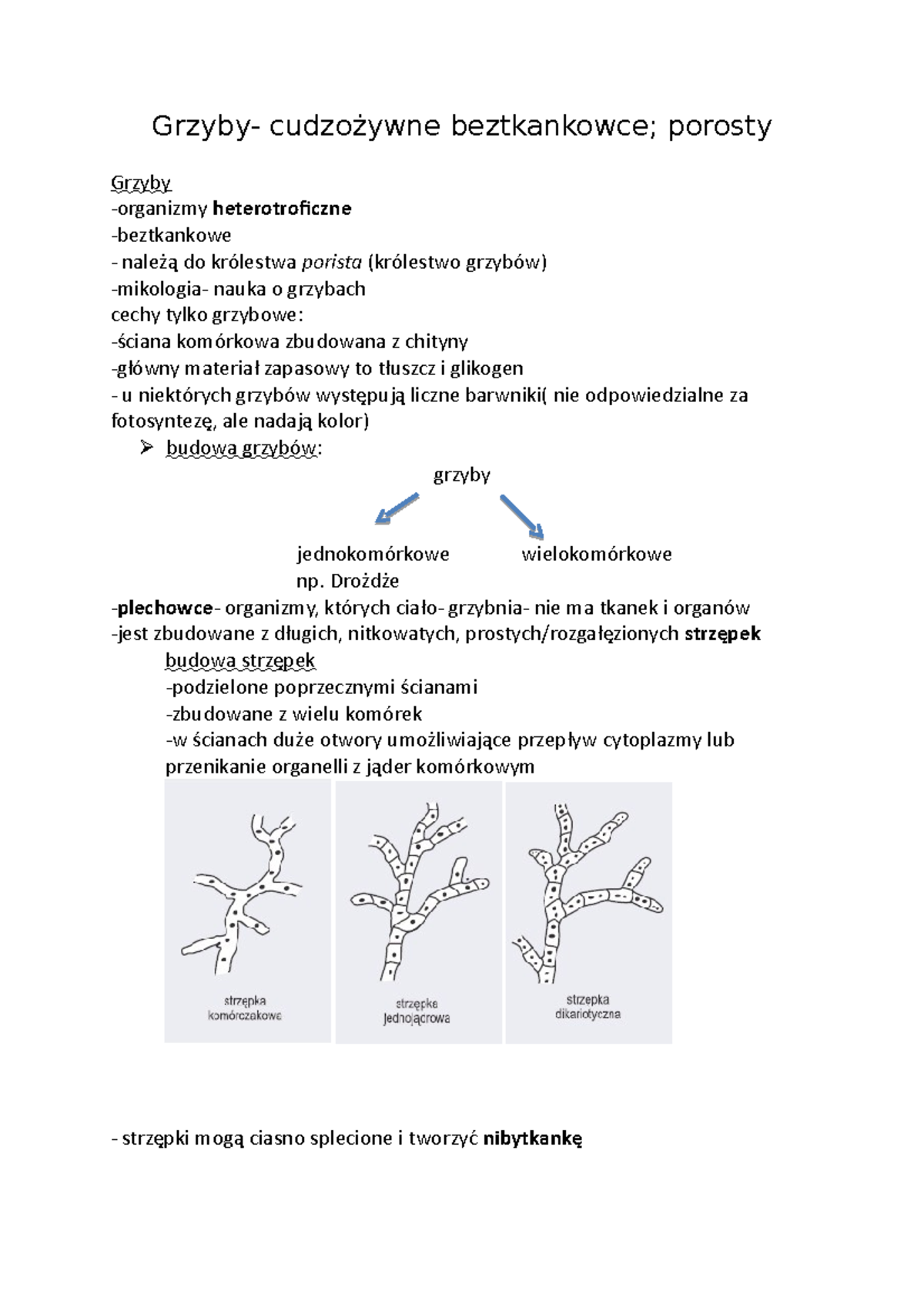 Sprawdzian Grzyby I Porosty Liceum www.studocu.com