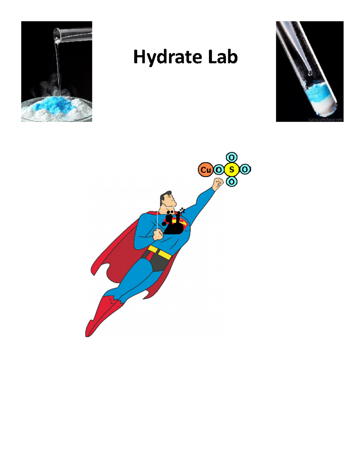 Hydrate Lab Study Guide Hydrate Lab Purpose The purpose of this lab